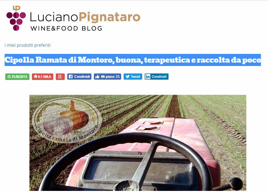 luciano pignataro cipolla ramata di montoro buona terapeutica
